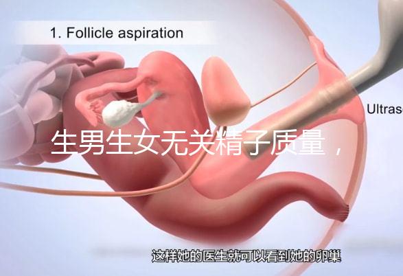 生男生女無關(guān)精子質(zhì)量，分享成功懷男孩的4個細節(jié)經(jīng)驗