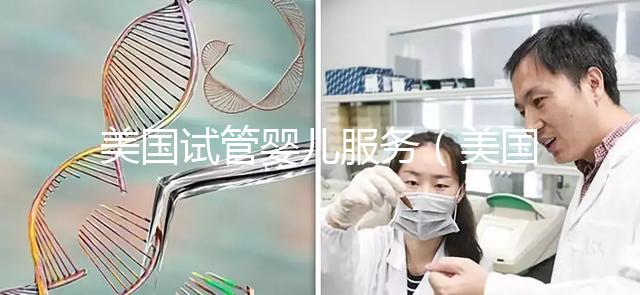 美國(guó)試管嬰兒服務(wù)(美國(guó)試管嬰兒服務(wù)套餐)