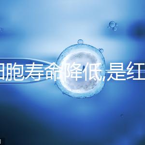 紅細(xì)胞壽命降低,是紅細(xì)胞計數(shù)偏低4大原因之一