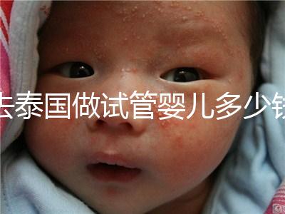 去泰國做試管嬰兒多少錢(泰國做試管嬰兒多少錢優惠)