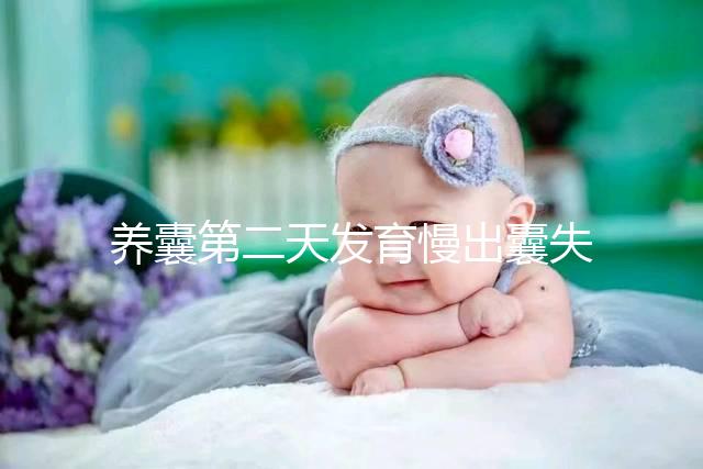 養(yǎng)囊第二天發(fā)育慢出囊失敗還有戲！前提：第三天繼續(xù)培育