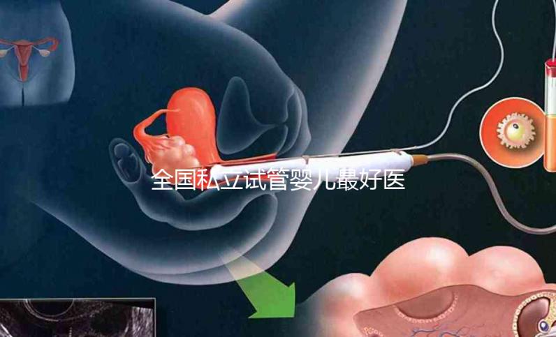 全國私立試管嬰兒最好醫院哪里最好，附醫院推薦