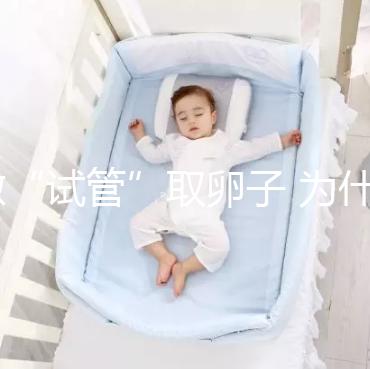 做“試管”取卵子 為什么10個卵泡只能取6個卵子？