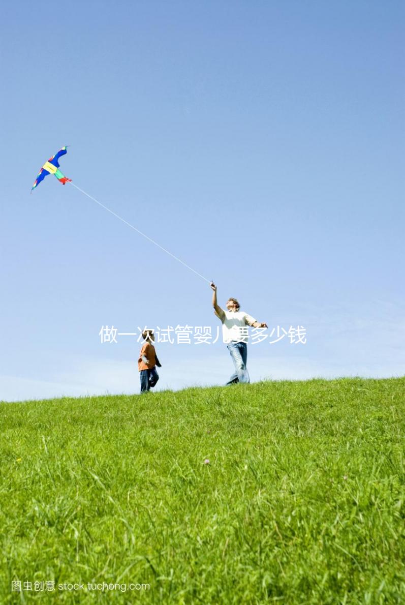 做一次試管嬰兒要多少錢?