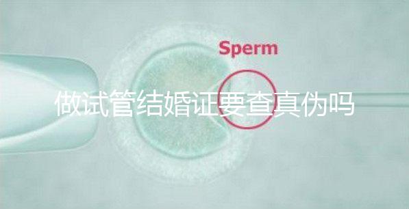 做試管結(jié)婚證要查真?zhèn)螁幔ㄗ鲈嚬芙Y(jié)婚證要查真?zhèn)螁岫嗌馘X）