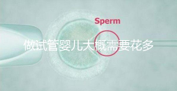 做試管嬰兒大概需要花多少錢，做試管嬰兒需要花多少錢