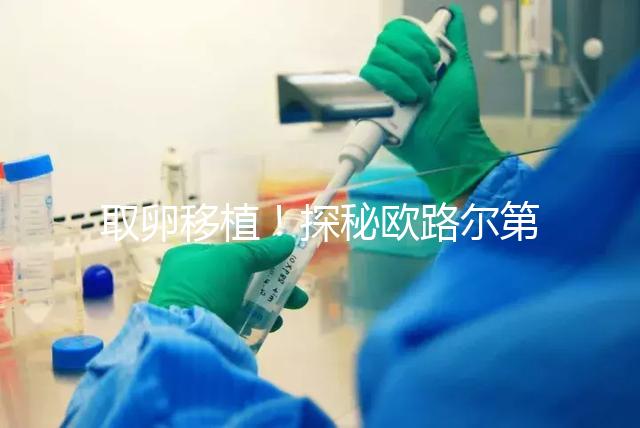 取卵移植！探秘歐路爾第三代試管嬰兒的流程