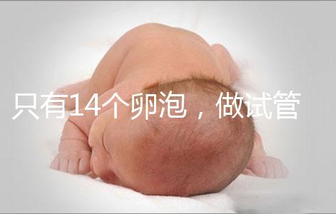 只有14個卵泡，做試管嬰兒到底要不要養囊？