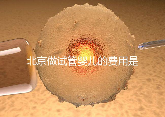 北京做試管嬰兒的費用是多少錢？詳細流程是怎樣的？