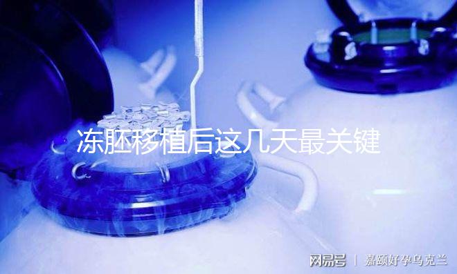 凍胚移植后這幾天最關(guān)鍵!一文揭秘重要原因