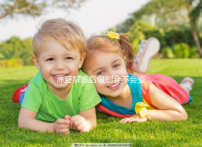 凍胚解凍后級別會不會變化有答案了，降級還是升級看情況