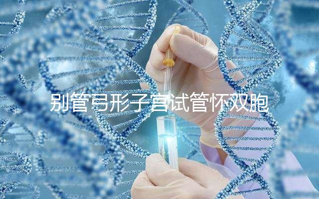 別管弓形子宮試管懷雙胞胎的概率大不大，了解一下這些影響