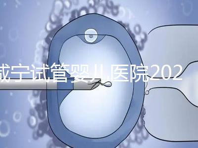 咸寧試管嬰兒醫院2024年成功率排名公開，哪家好一目了然