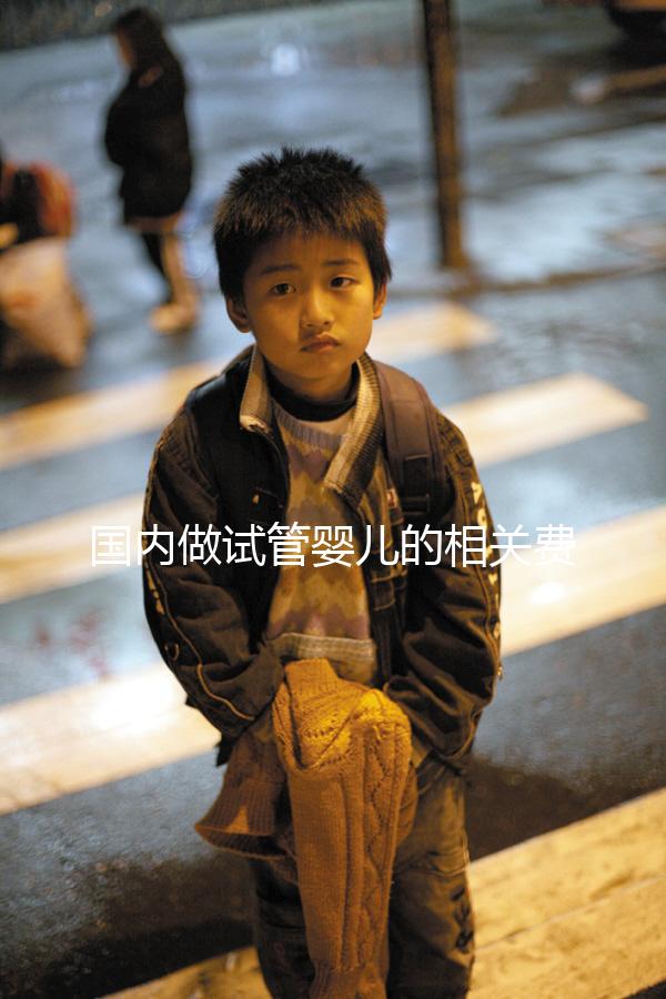 國內做試管嬰兒的相關費用、條件、指征