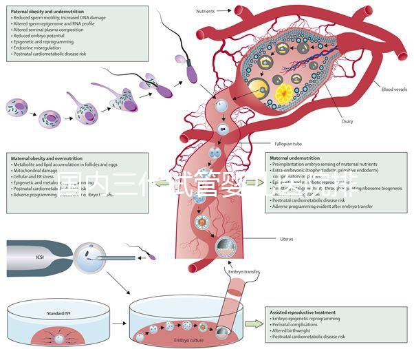 國內三代試管嬰兒醫院排名已更新，2025年上榜醫院是這幾家！