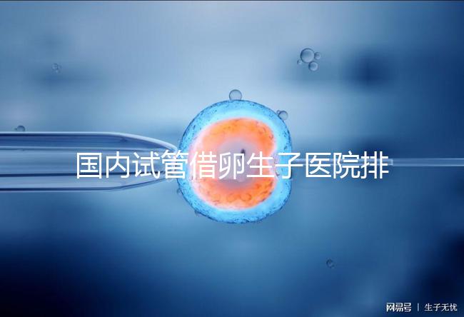 國(guó)內(nèi)試管借卵生子醫(yī)院排名（附熱門(mén)醫(yī)院推薦）
