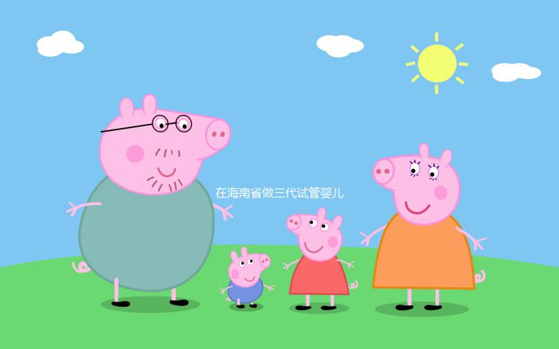 在海南省做三代試管嬰兒一般要花費多少,全面介紹費用項目與相關要素