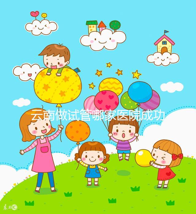 云南做試管哪家醫(yī)院成功率最高（哪里做試管便宜,成功率又高？）