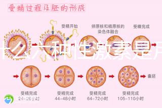 為什么六種性激素是月經(jīng)第二