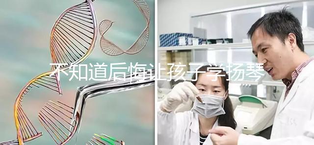 不知道后悔讓孩子學揚琴怎么辦看這，年齡是決定因素