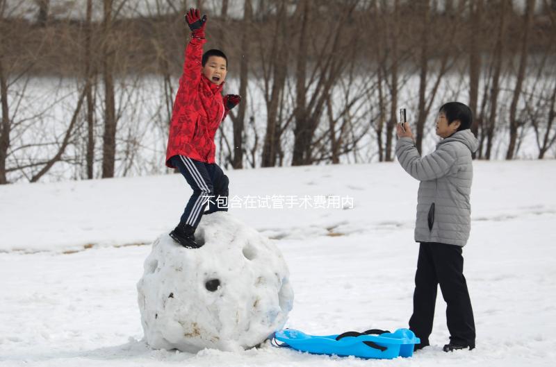 不包含在試管手術(shù)費(fèi)用內(nèi)!單雙腔取卵針價(jià)格自費(fèi)