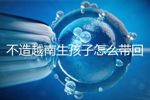 不造越南生孩子怎么帶回國(guó)戶(hù)口?流程和資料都有