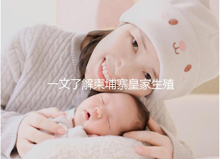 一文了解柬埔寨皇家生殖醫(yī)院:院長(zhǎng)吳華林篇