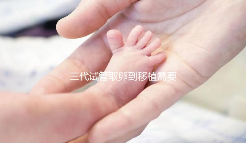 三代試管取卵到移植需要多久?總體時間安排分析