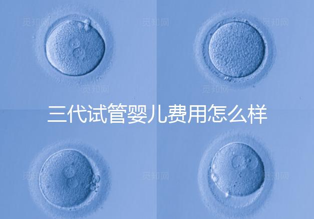 三代試管嬰兒費用怎么樣？很貴嗎？