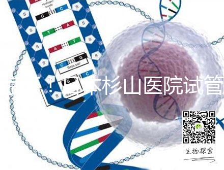 驚訝！日本杉山醫(yī)院試管嬰兒成功率和泰國(guó)持平