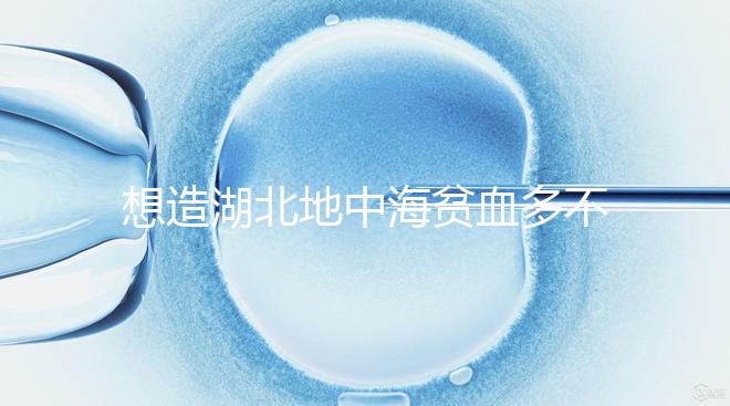 想造湖北地中海貧血多不多戳,武漢發(fā)病率高不高看這篇