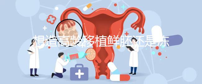 想造高齡移植鮮胚還是凍胚好請進，關鍵看身體適不適合