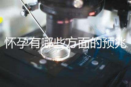 懷孕有哪些方面的預(yù)兆