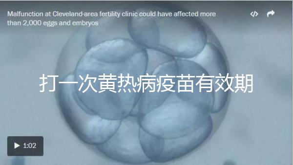 打一次黃熱病疫苗有效期限10年，提前注射時間是關鍵