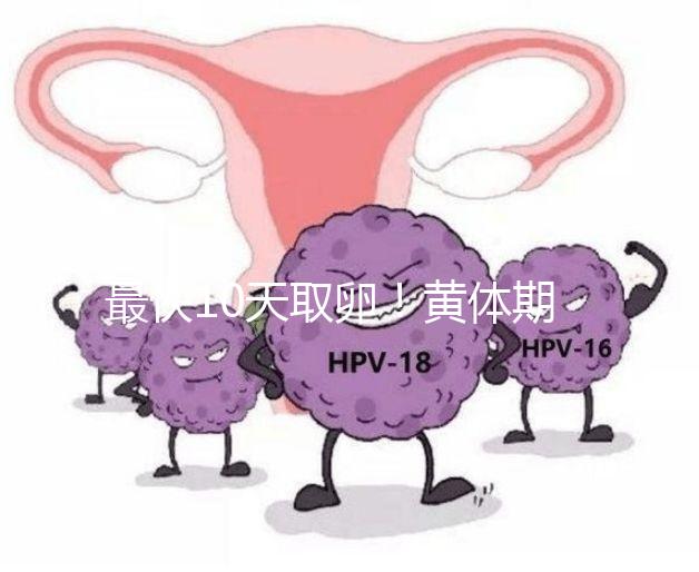 最快10天取卵！黃體期促排需要多長時間看這個指標(biāo)