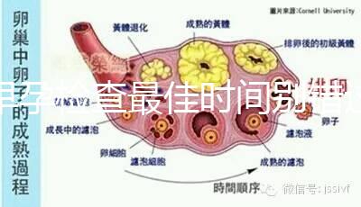 早孕檢查最佳時(shí)間別錯(cuò)過(guò)，事關(guān)寶寶健康不可馬虎大意