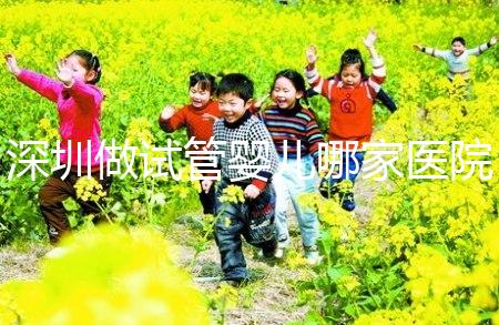 深圳做試管嬰兒哪家醫院好？深圳公立三甲試管嬰兒醫院大全