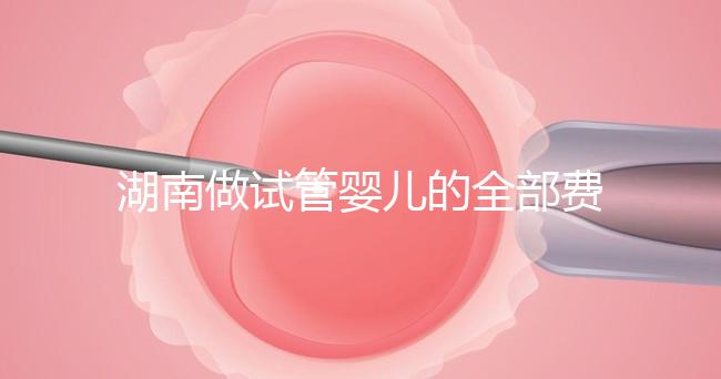 湖南做試管嬰兒的全部費用大概是多少錢？附湖南試管嬰兒醫院排名一覽！