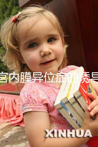 子宮內膜異位癥的誘導排卵方案，其實沒有標準答案