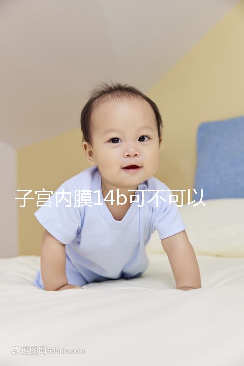 子宮內膜14b可不可以移植囊胚看情況，能否成功只看三點