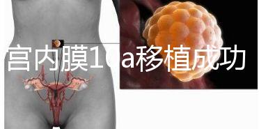 子宮內膜10a移植成功率高別還不知道，放入鮮胚厚度剛剛好