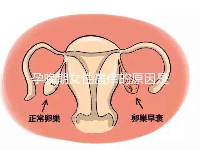 孕晚期女性瘙癢的原因是什么？