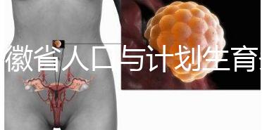 安徽省人口與計(jì)劃生育條例出臺(tái) 2024年產(chǎn)假被延長