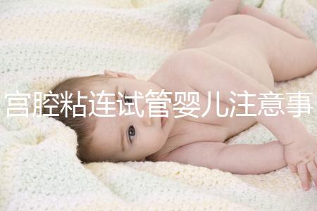 宮腔粘連試管嬰兒注意事項分析，讓好孕變得更容易