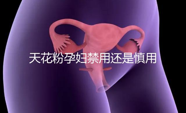 天花粉孕婦禁用還是慎用好看這,5個(gè)月不小心吃了有影響