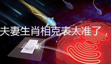 夫妻生肖相克表太準了，丑牛和午馬結(jié)合真犯“沖”