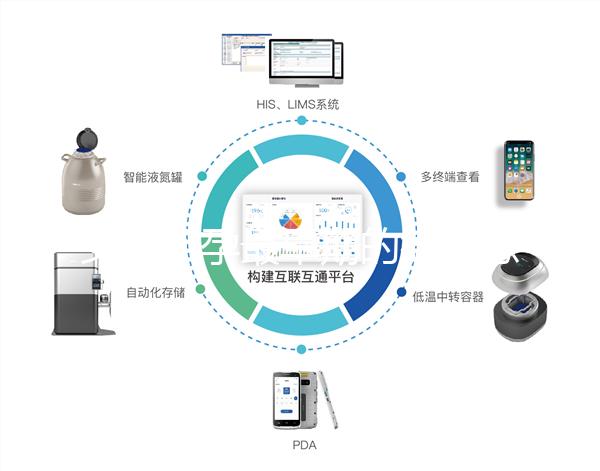 女性懷孕最早期的微妙感覺，同房5周腰酸疑似有身孕