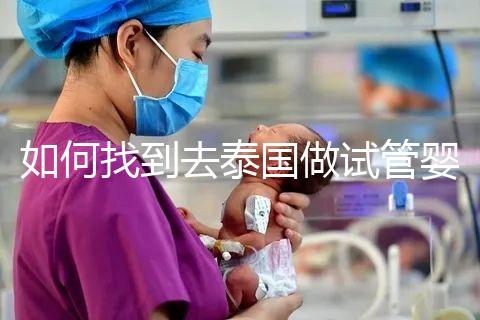 如何找到去泰國做試管嬰兒的本地翻譯?內(nèi)部搜索可靠的本地翻譯方法分析