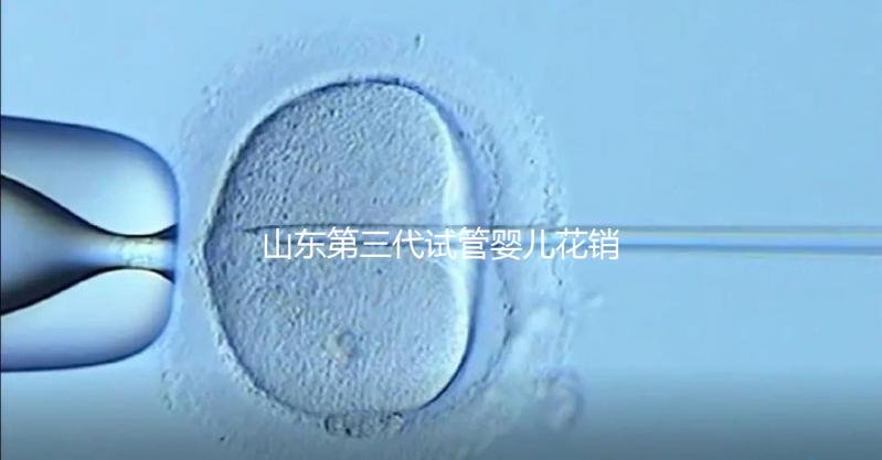 山東第三代試管嬰兒花銷全解析:詳細價格一覽,輕松做好預(yù)算準備