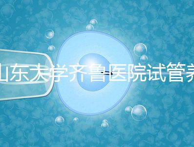 山東大學齊魯醫(yī)院試管養(yǎng)囊價格表,成功率越高助孕開銷越少